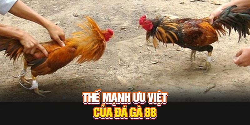 the-manh-uu-viet-cua-da-ga-88