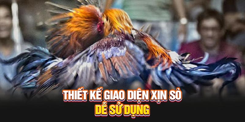 thiet-ke-giao-dien-xin-so-de-su-dung