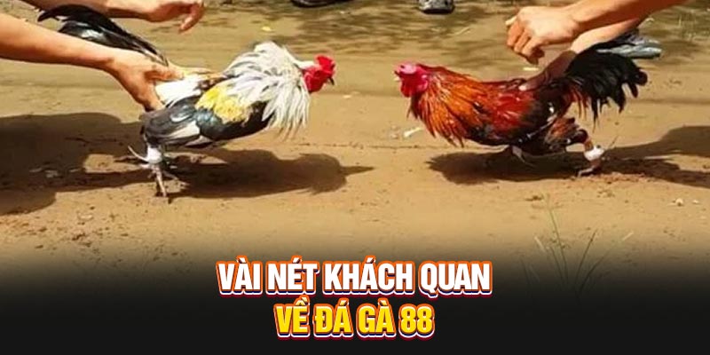 vai-net-khach-quan-ve-da-ga-88